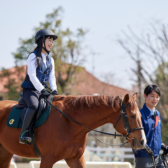 町田市・秦野市 クレイン東京さんの乗馬体験コース