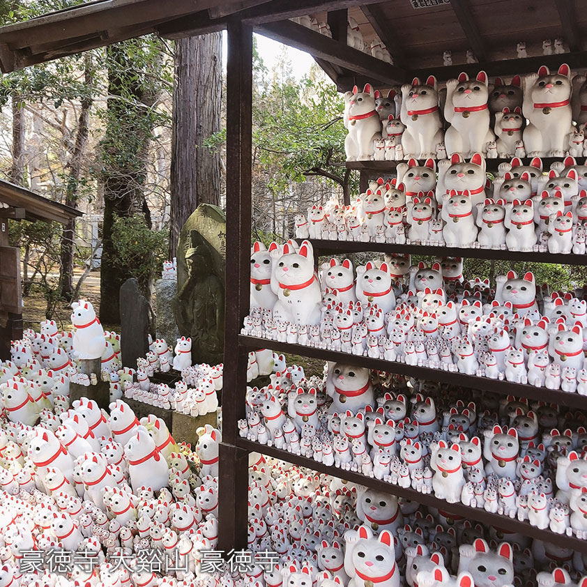豪徳寺 大谿山 豪徳寺