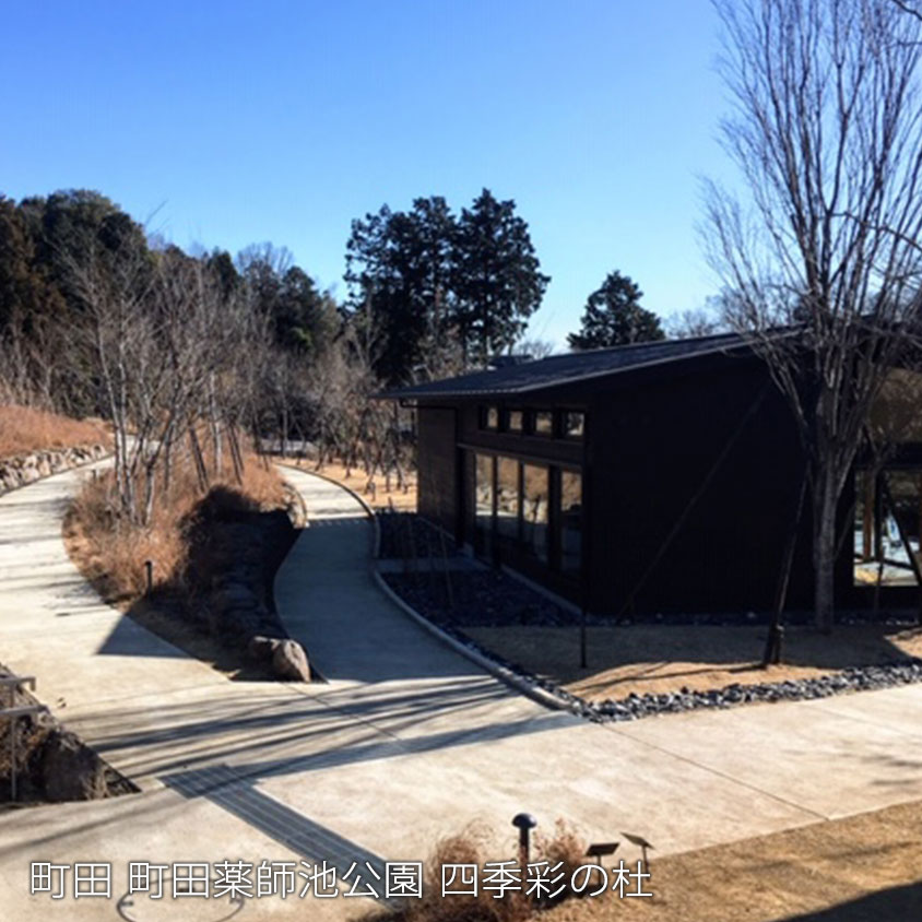 町田 町田薬師池公園 四季彩の杜
