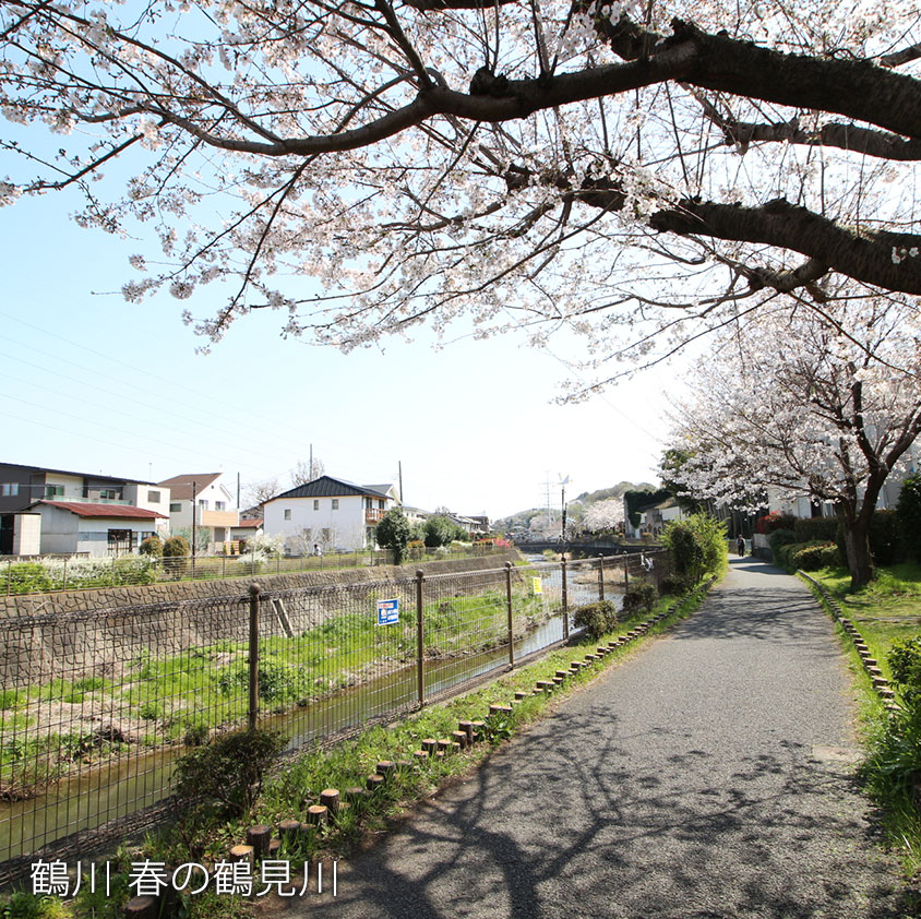 鶴川 春の鶴見川