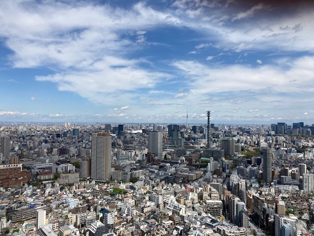 得意な分野・エリア