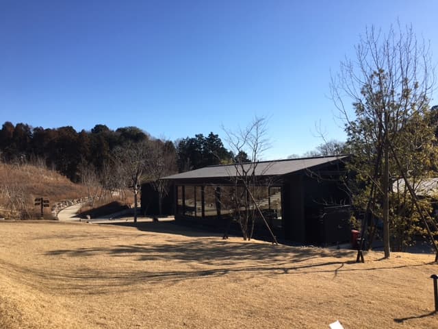 小田急線沿いの魅力