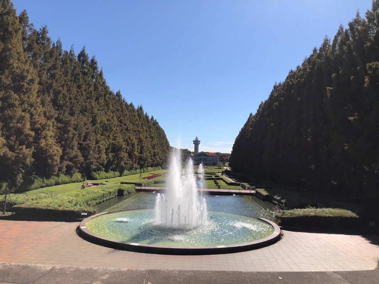 得意な分野・エリア