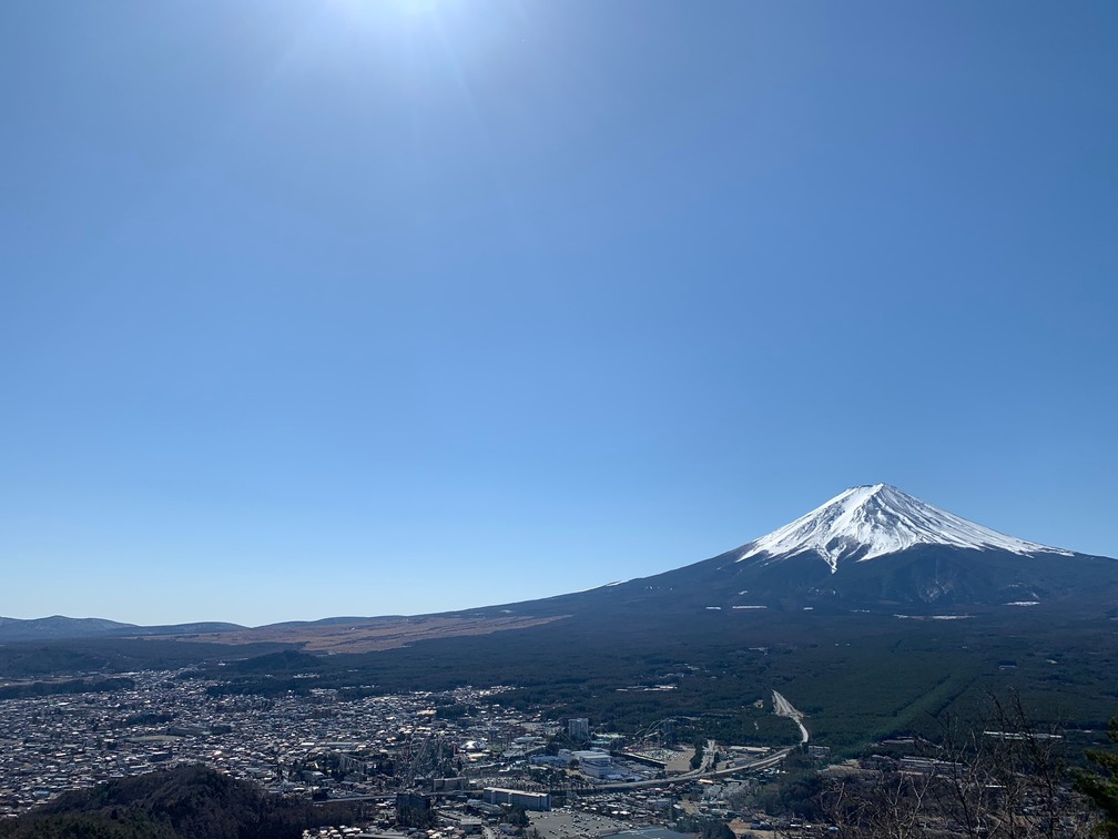今後の目標