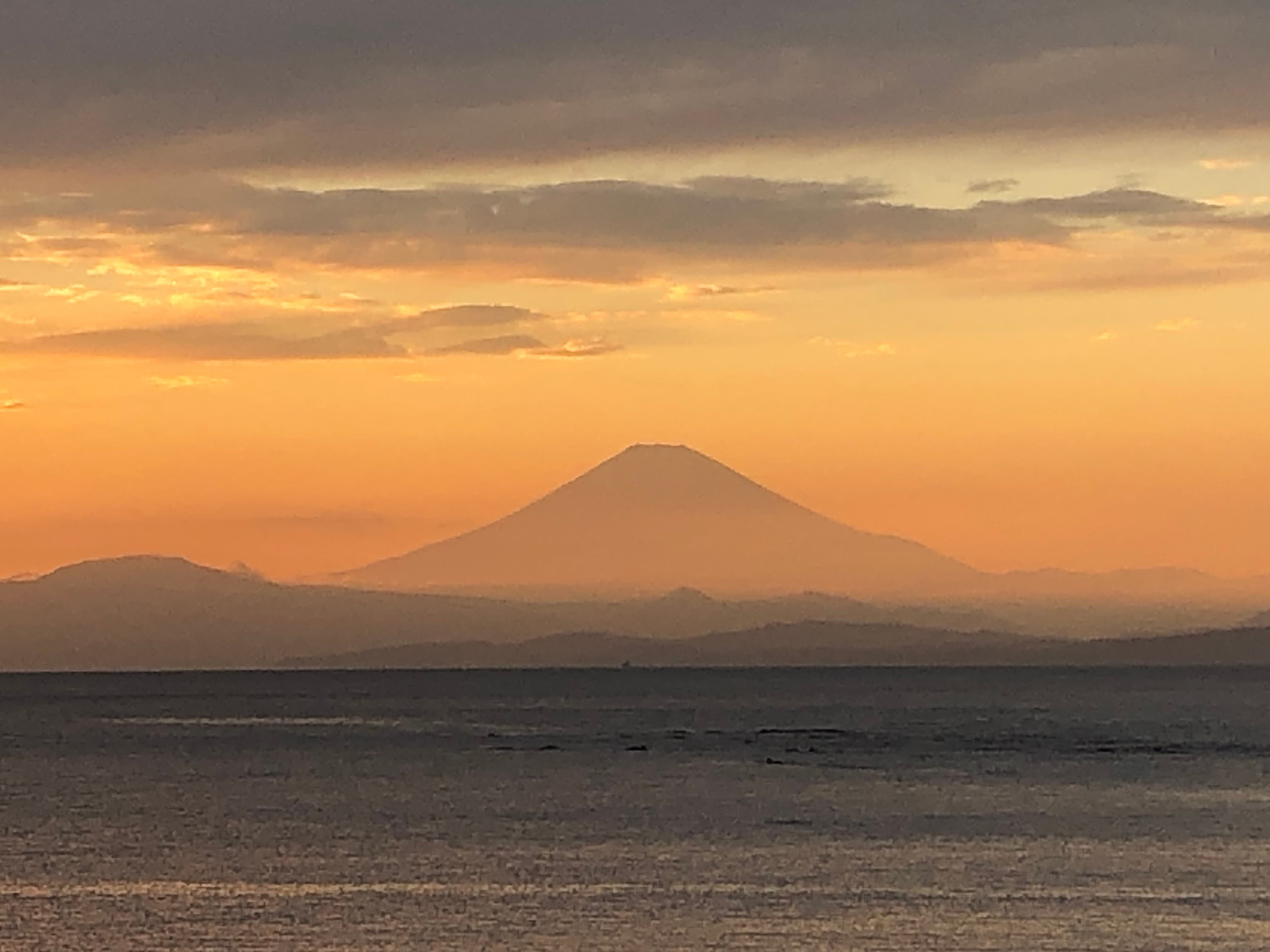 小田急線沿いのおすすめスポット