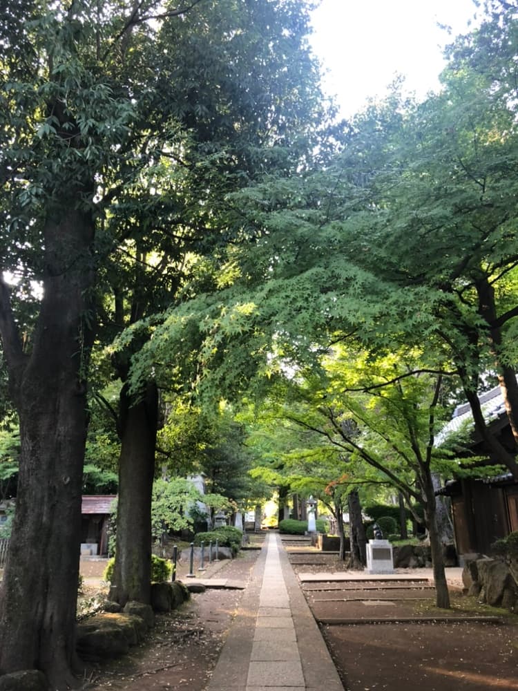 小田急に入社したきっかけ