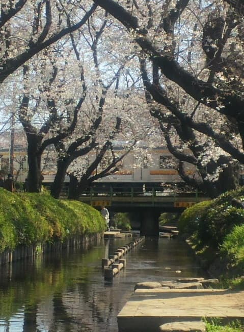 得意な分野・エリア